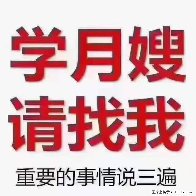 为什么要学习月嫂，育婴师？ - 其他广告 - 广告专区 - 呼伦贝尔分类信息 - 呼伦贝尔28生活网 hlbe.28life.net
