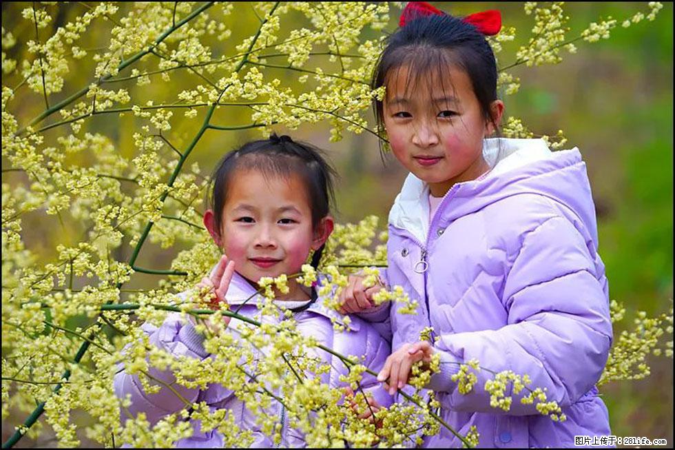 【春天，广西桂林灌阳县向您发出邀请！】米珠山前有片山苍子花在飘香 - 游山玩水 - 呼伦贝尔生活社区 - 呼伦贝尔28生活网 hlbe.28life.net