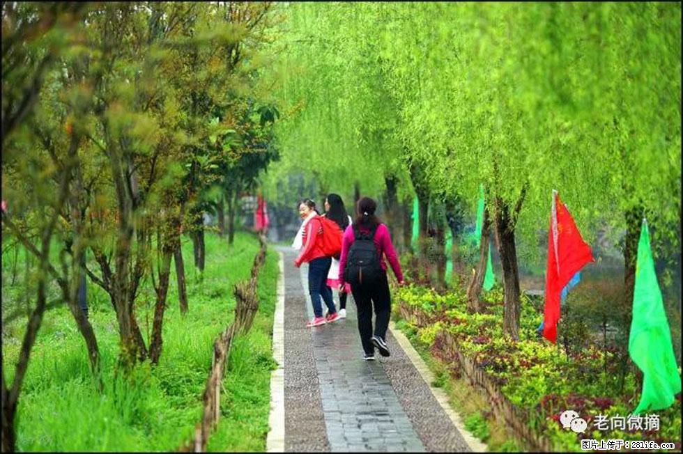 【春天，广西桂林灌阳县向您发出邀请！】江口老街又逢春 - 游山玩水 - 呼伦贝尔生活社区 - 呼伦贝尔28生活网 hlbe.28life.net