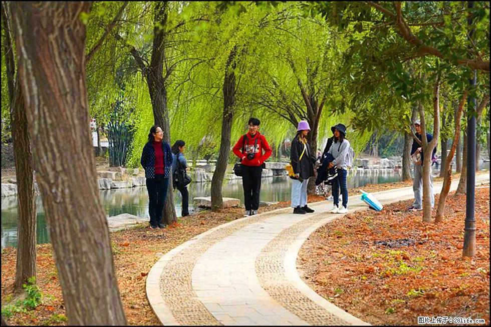【春天，广西桂林灌阳县向您发出邀请！】江口老街又逢春 - 游山玩水 - 呼伦贝尔生活社区 - 呼伦贝尔28生活网 hlbe.28life.net