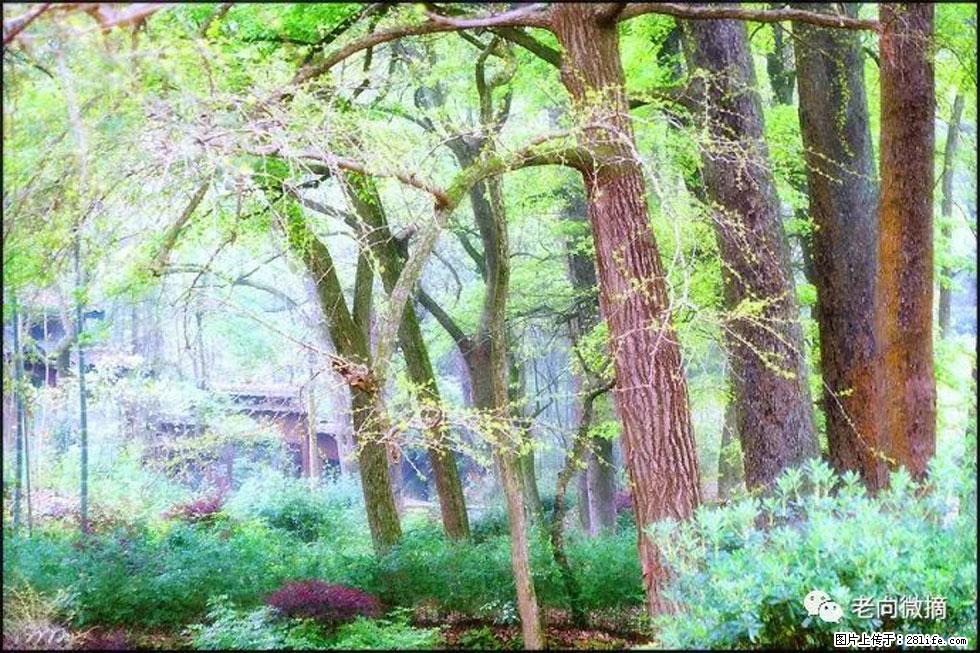 【春天，广西桂林灌阳县向您发出邀请！】在小龙村与春天约会 - 游山玩水 - 呼伦贝尔生活社区 - 呼伦贝尔28生活网 hlbe.28life.net
