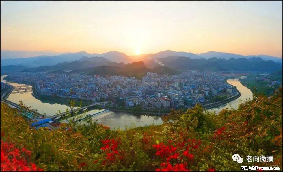 【春天，广西桂林灌阳县向您发出邀请！】登麒麟山，相约映山红 - 游山玩水 - 呼伦贝尔生活社区 - 呼伦贝尔28生活网 hlbe.28life.net