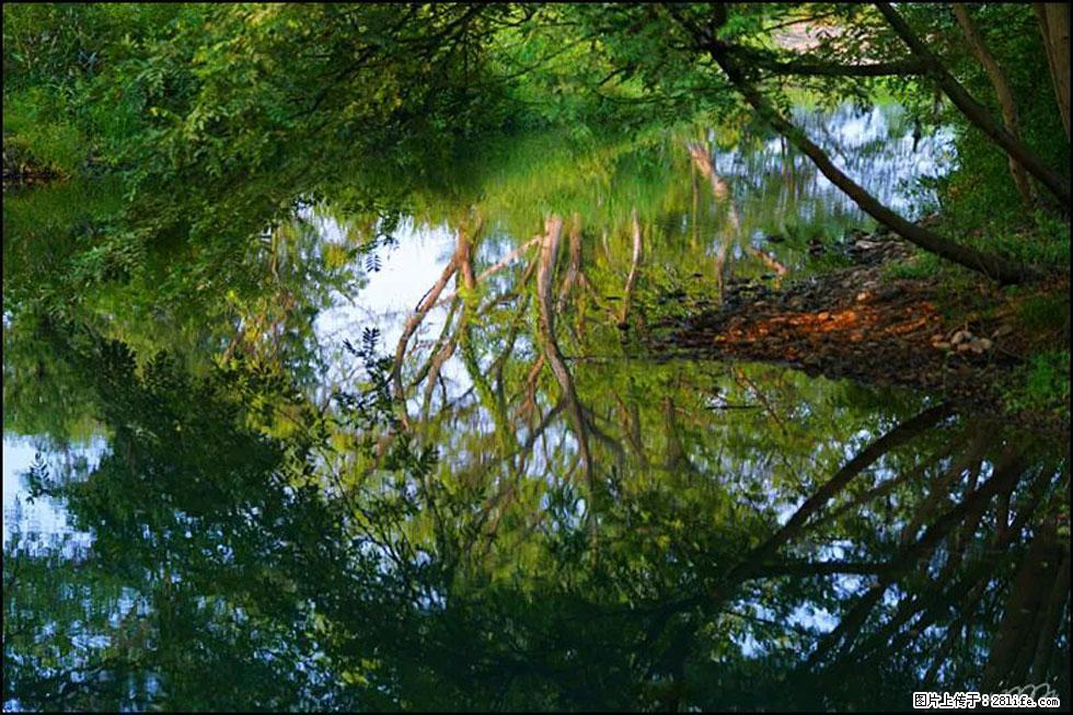 【春天，广西桂林灌阳县向您发出邀请！】熊家寨湿地公园 - 游山玩水 - 呼伦贝尔生活社区 - 呼伦贝尔28生活网 hlbe.28life.net