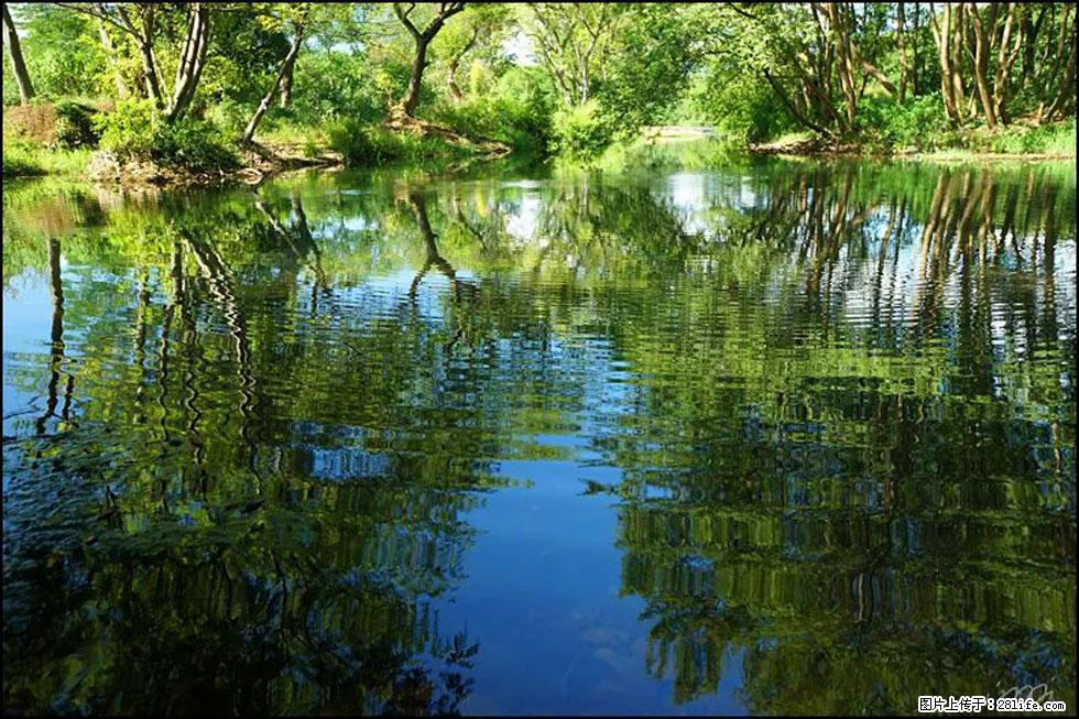 【春天，广西桂林灌阳县向您发出邀请！】熊家寨湿地公园 - 游山玩水 - 呼伦贝尔生活社区 - 呼伦贝尔28生活网 hlbe.28life.net