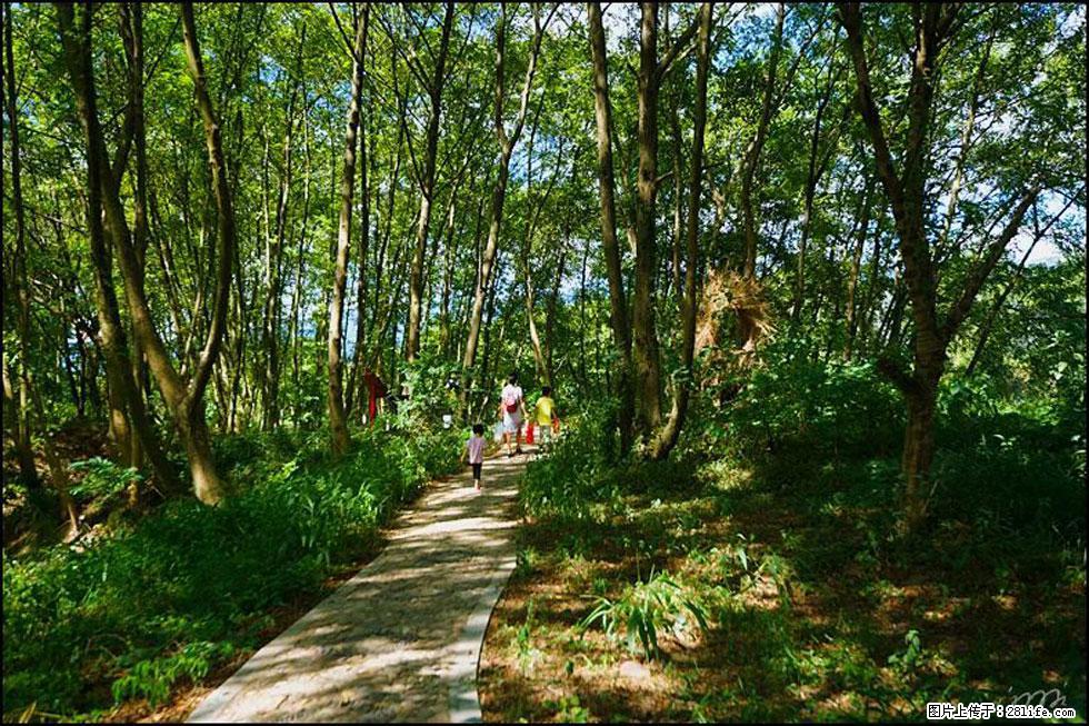 【春天，广西桂林灌阳县向您发出邀请！】熊家寨湿地公园 - 游山玩水 - 呼伦贝尔生活社区 - 呼伦贝尔28生活网 hlbe.28life.net