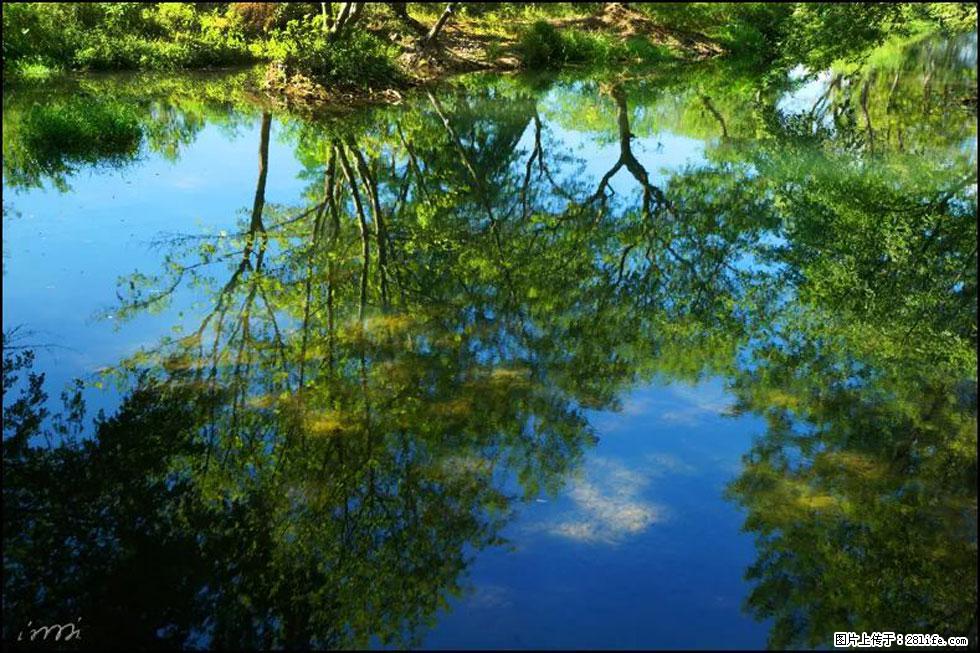 【春天，广西桂林灌阳县向您发出邀请！】熊家寨湿地公园 - 游山玩水 - 呼伦贝尔生活社区 - 呼伦贝尔28生活网 hlbe.28life.net
