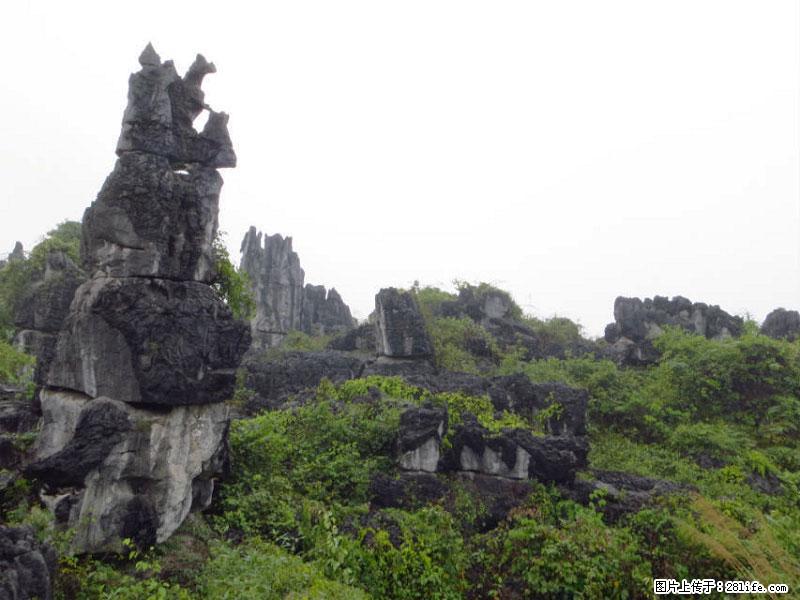 桂林旅游名城景点:灌阳文市石林 - 游山玩水 - 呼伦贝尔生活社区 - 呼伦贝尔28生活网 hlbe.28life.net