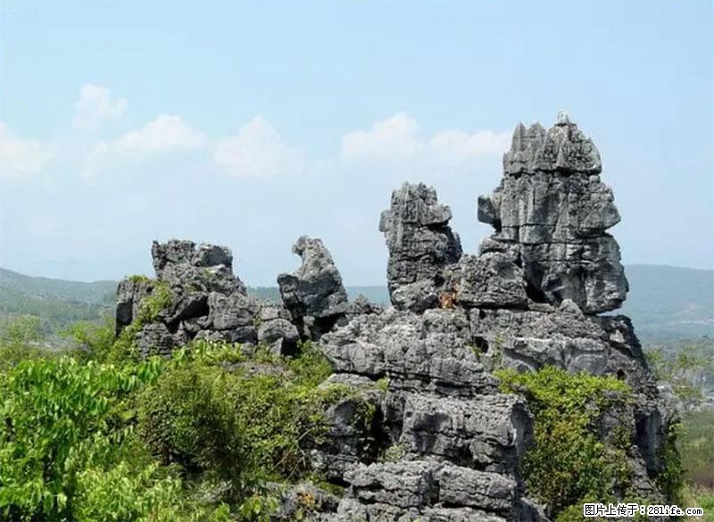 桂林旅游名城景点:灌阳文市石林 - 游山玩水 - 呼伦贝尔生活社区 - 呼伦贝尔28生活网 hlbe.28life.net