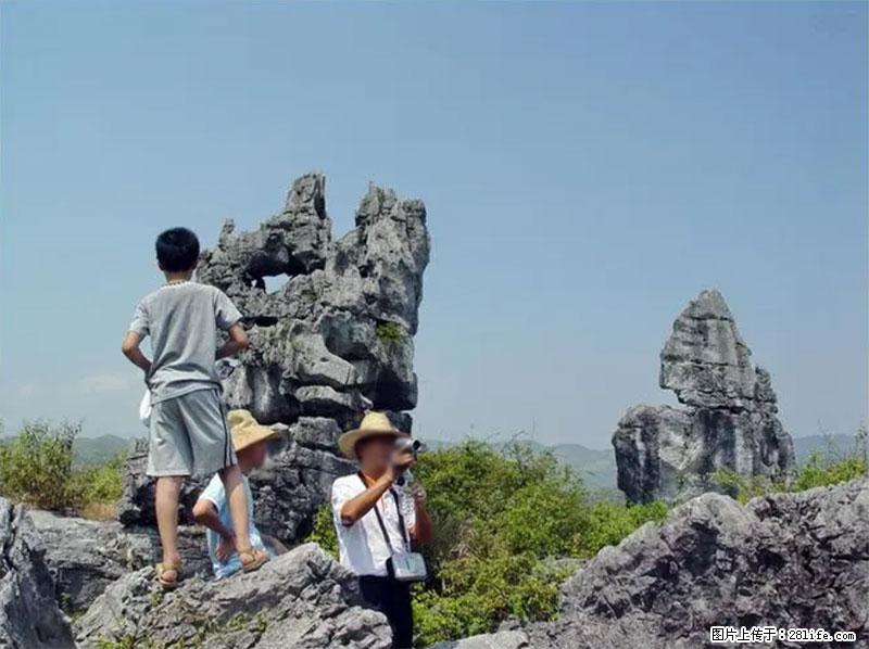 桂林旅游名城景点:灌阳文市石林 - 游山玩水 - 呼伦贝尔生活社区 - 呼伦贝尔28生活网 hlbe.28life.net
