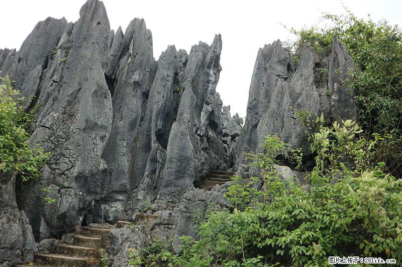 桂林旅游名城景点:灌阳文市石林 - 游山玩水 - 呼伦贝尔生活社区 - 呼伦贝尔28生活网 hlbe.28life.net