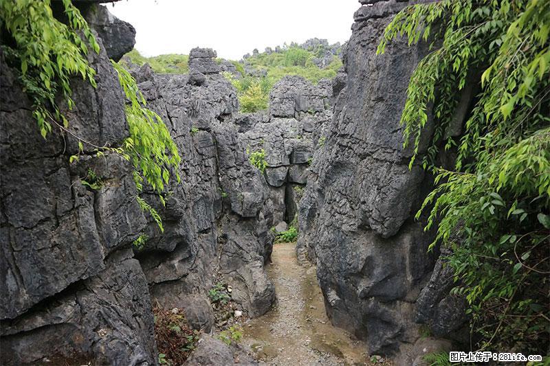 桂林旅游名城景点:灌阳文市石林 - 游山玩水 - 呼伦贝尔生活社区 - 呼伦贝尔28生活网 hlbe.28life.net