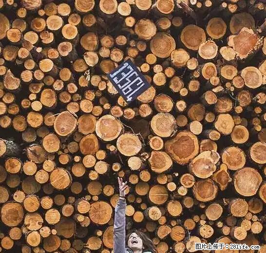 辞掉工作周游世界？现在他们在洗厕所…… - 游山玩水 - 呼伦贝尔生活社区 - 呼伦贝尔28生活网 hlbe.28life.net