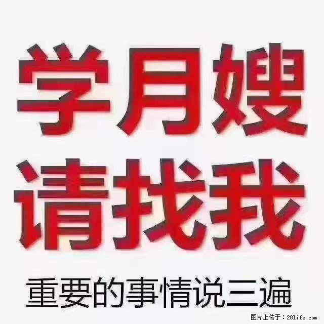 【招聘】月嫂，上海徐汇区 - 职场交流 - 呼伦贝尔生活社区 - 呼伦贝尔28生活网 hlbe.28life.net