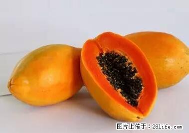 晕车、脚气、牙齿变黄、皮肤粗糙？学会这些三分钟搞定！ - 呼伦贝尔生活资讯 - 呼伦贝尔28生活网 hlbe.28life.net