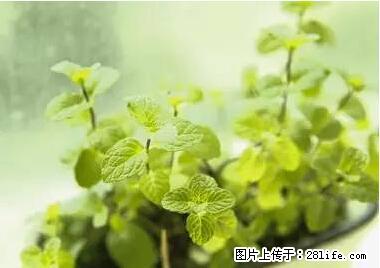 晕车、脚气、牙齿变黄、皮肤粗糙？学会这些三分钟搞定！ - 呼伦贝尔生活资讯 - 呼伦贝尔28生活网 hlbe.28life.net