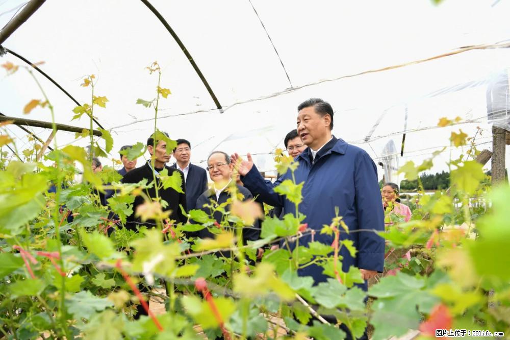 习近平赴广西考察调研 - 呼伦贝尔生活资讯 - 呼伦贝尔28生活网 hlbe.28life.net