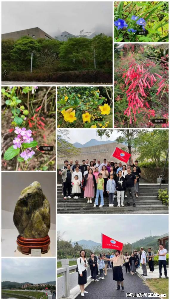 “粤灌文化 美好生活”油茶文化主题活动在广东深圳成功举办 - 呼伦贝尔生活资讯 - 呼伦贝尔28生活网 hlbe.28life.net