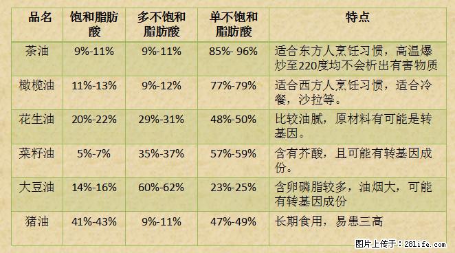 揭秘茶油的5大核心营养成分！被称为人体健康的“守护盾”！ - 呼伦贝尔生活资讯 - 呼伦贝尔28生活网 hlbe.28life.net