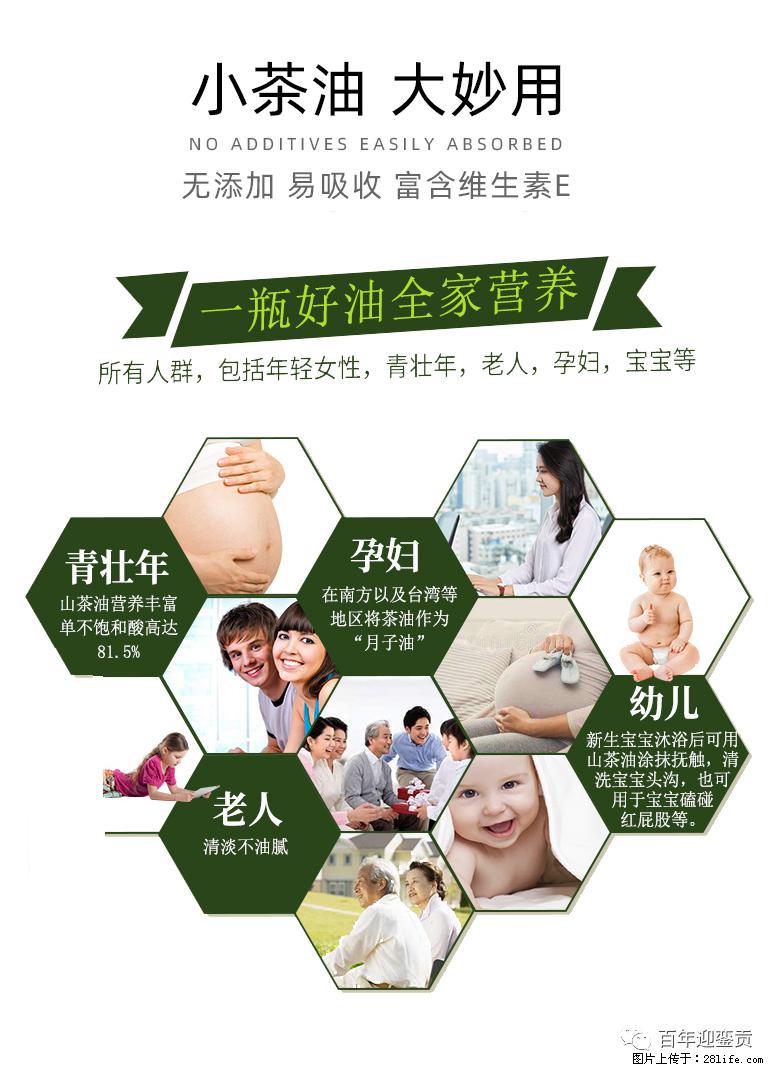 世界没有真相，只有认知，最好的食用油是中国的山茶油！ - 呼伦贝尔生活资讯 - 呼伦贝尔28生活网 hlbe.28life.net