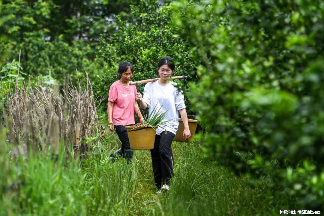 全网追的“扁担女孩”，找了一份暑假工，时薪12元 - 呼伦贝尔生活资讯 - 呼伦贝尔28生活网 hlbe.28life.net