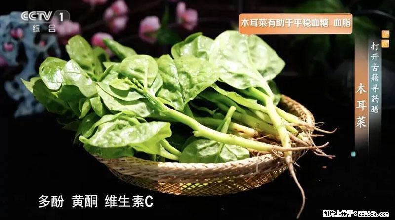 比牛奶补钙还厉害！凉血解毒、稳血糖...这菜冬天必吃，很多人却当草 - 呼伦贝尔生活资讯 - 呼伦贝尔28生活网 hlbe.28life.net